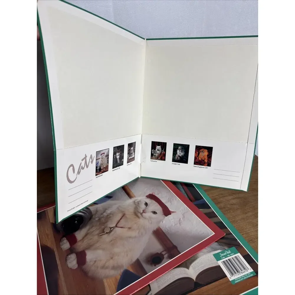 Vintage Stuart Hall Folder Lot Cats in School Unpunched Excellent Cond 1993 NOS